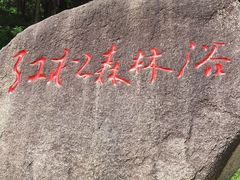 -五营红松林海景区