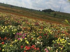 -鴜鹭湖生态旅游度假区