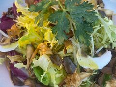 -Hi City·城市之巅