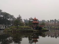 -四川大学(望江校区)