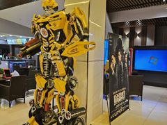 -华美国际影城(旧宫永辉店)