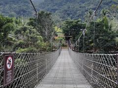 -海南热带雨林国家公园吊罗山景区