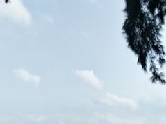 -玫瑰海岸文化旅游度假区