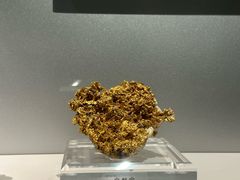 -中国地质博物馆