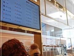 -喜茶(天津乐宾百货店)