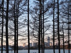 -长春市南湖公园