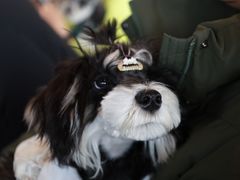 -FAELING PETS美天灵宠物(合生汇店)