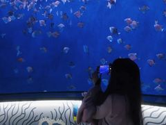 -沈阳海洋探索中心