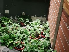 -福茂源横山铁锅羊肉(牡丹园店)