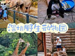-深圳野生动物园
