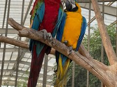 -南宫五洲植物乐园