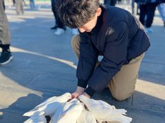 -天津妈祖文化园