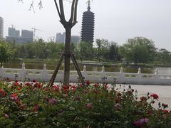 -西海子公园