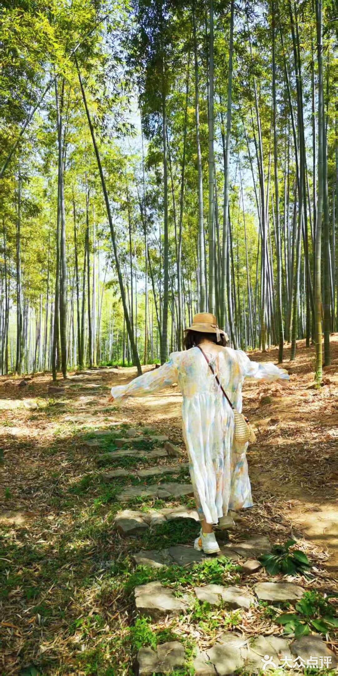 悠闲步伐，林中漫游