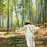 悠闲步伐，林中漫游