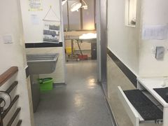 -安安宠医·安宠宠物医院