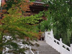 -宝鸡植物园