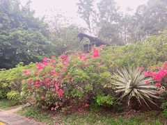 -深圳国际园林花卉博览园