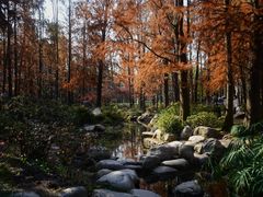 -共青国家森林公园-售票处