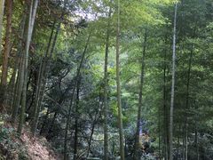 -藏龙百瀑风景区