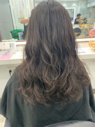 -镁连社·美联社