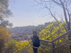 -佛山华盖山公园