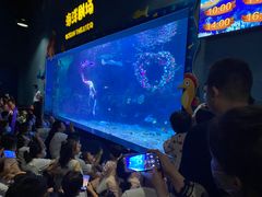 -郑州海洋馆
