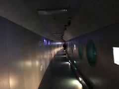 -白鹤梁水下博物馆
