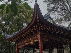 -汇龙潭