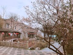 -衣裳街历史文化街区