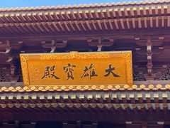 -亭林园-华藏寺