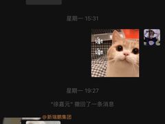-美联众合动物医院·24h转诊中心