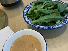 冰草-兰边碗(鼓楼店)