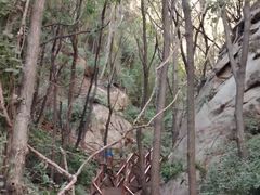 -大岭沟猕猴桃谷风景区
