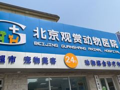 -北京观赏动物医院·24小时大型综合·猫专科·异宠专科