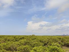 -北海金海湾红树林生态旅游区