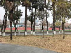 -四川大学(望江校区)