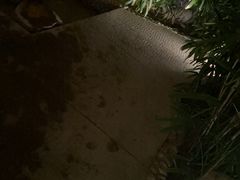 -三江森林温泉度假区