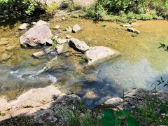 -龙湾潭国家森林公园