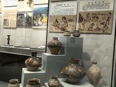 -北京中医药大学-中医药博物馆
