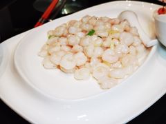 新雅滑虾仁-新雅粤菜馆(南京东路店)