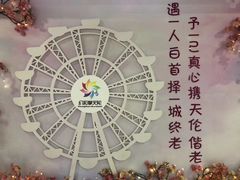 -幻彩摩天轮