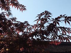 -平安桥天主教堂