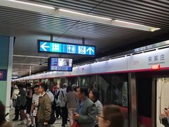 -宋家庄(地铁站)