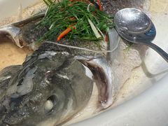 油盐蒸山泉鲩（特价）-顺丰轩园林酒家(天河店)
