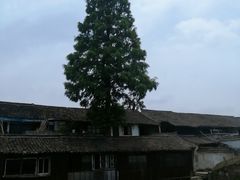 -乌镇东栅景区