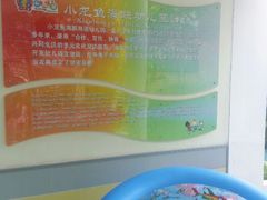 android_upload_pic-海联小龙鱼幼儿园
