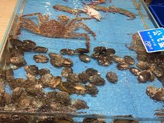 -双井轩(双井店)