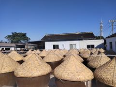 -苏州市吴中区光福窑上花果蜜饯厂