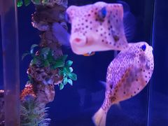 -太平洋海底世界